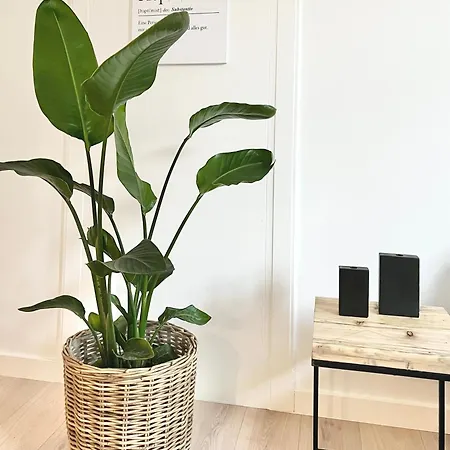 Apartamento Makers And 01 Pauline 110qm Parkplatz 1-4 Personen *