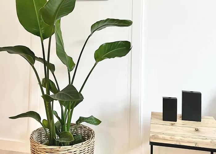 Apartamento Makers And 01 Pauline 110qm Parkplatz 1-4 Personen *